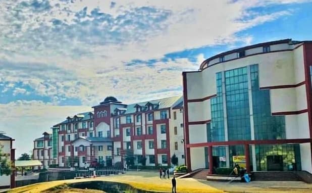 Sri Sai University, Palampur hiring teachers, other non-teaching positions